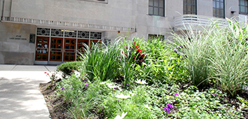 Northwestern landscaping