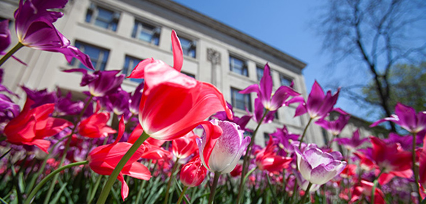 Northwestern landscaping