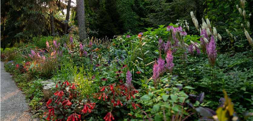 Northwestern landscaping