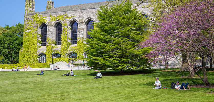 Northwestern landscaping