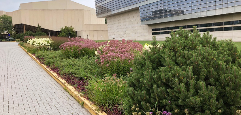 Northwestern landscaping