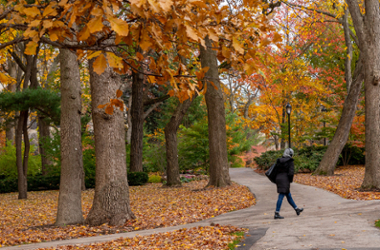 Student walking on Evanston campus in fall