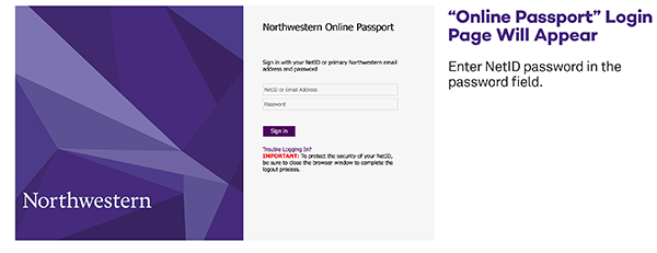 Online Passport