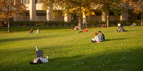 Deering meadow on a late fall afternoon