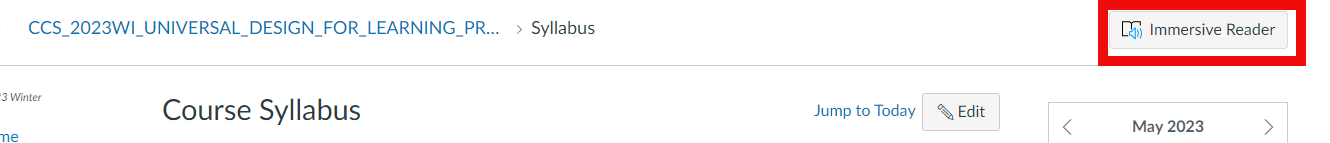 Screenshot of the Immersive Reader button in Canvas